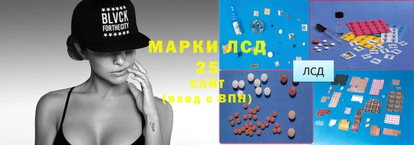 эйфоретик Аркадак