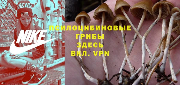 первитин Алексеевка